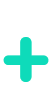 icono plus